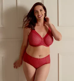 Berlei Beauty Stripe Deep Brief Panty -Her Room US berlei berl01 b543 cs4