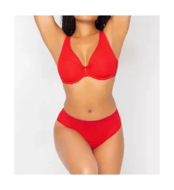 Sheer Mesh Plunge Push Up Underwire Bra -Her Room US curvy couture cuco01 1310 cs4