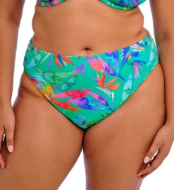 ELOMI Toyama Tides Multicolor Tropical Print Mid Rise Full Coverage Bikini Brief -Her Room US elomi elom01 802272 fs