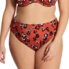 ELOMI Kotiya Leopard Print Mid-Rise Bikini Brief – Fierce Animal Pattern Swim Bottom -Her Room US elomi elom01 es0972 gs