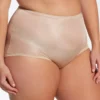 Plus Nylon Classics Brief Panty - 3 Pack -Her Room US shadowline shdw01 17042x gs